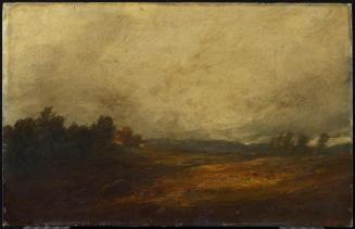 Autumn Fields