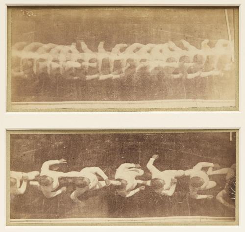 Two chronophotographic studies of the run taken from overhead