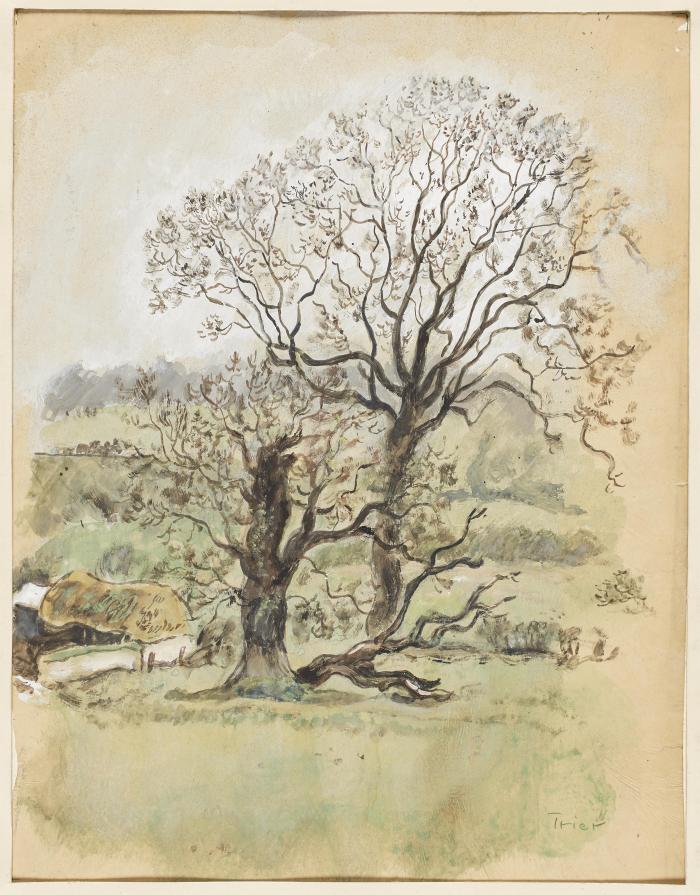 Walter Trier