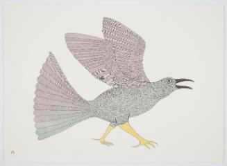 Tulugak from Lithographs by Kenojuak