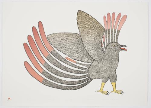 Proud Young Owl from Lithographs by Kenojuak