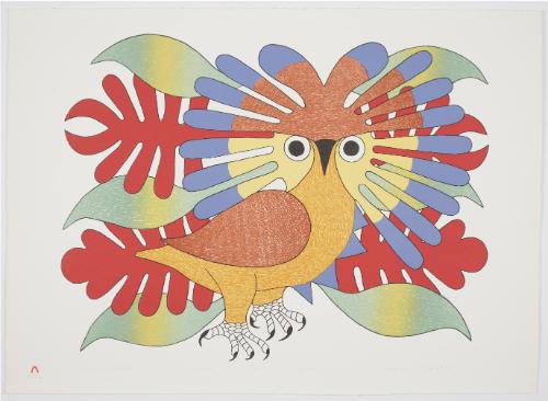 Sun Owl and Foliage from Lithographs by Kenojuak
