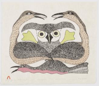 Spirit Birds and Owl