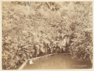 [Fairy Bath, Okoroire]   from Oceanic Album