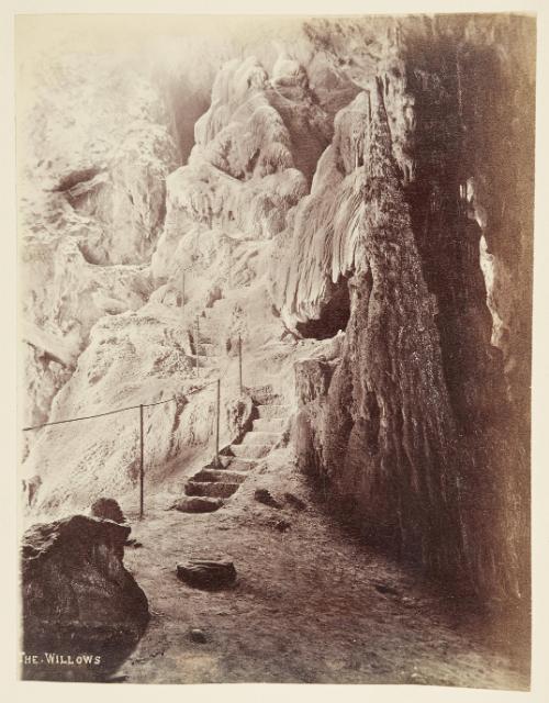 [The Willows, Jenolan Caves, New South Wales]   from Oceanic Album