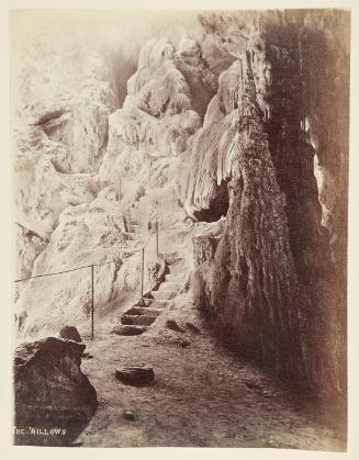 [The Willows, Jenolan Caves, New South Wales]   from Oceanic Album