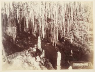 [Fairie's Grotto, Jenolan Caves, New South Wales]   from Oceanic Album