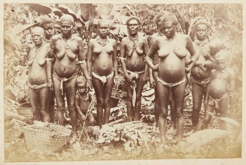 [Solomon Islands: Women's outdoor working dress]   from Oceanic Album