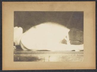 Marey in a study of respiration