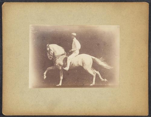 Instantaneous study of a mounted horse at 1/1000 of a second (No.119, gallop; second phase)