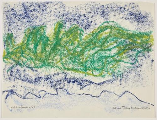 Behind Terry's house