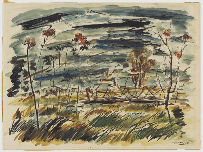 Windswept Landscape