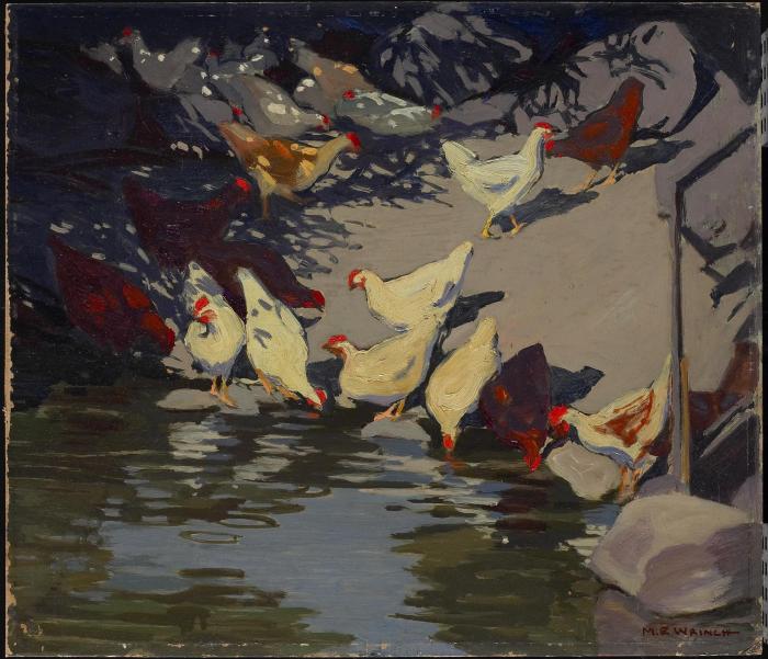 The Chicken Run