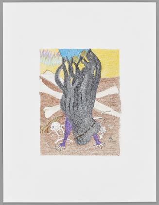 Untitled  from The Polar World