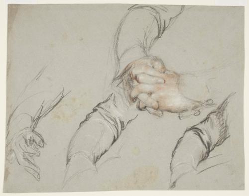 Study of Arms and Hands