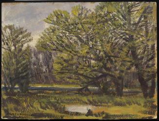 Willow Trees, Doon