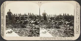 Realistic Travels: Volume II, Other Theatres, Last Battles on the Western Front and War’s End, # 114