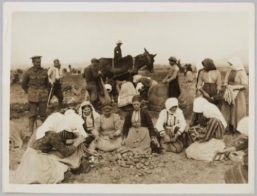 To give employment to the Macedonian women refugees the army service corps has started a potato farm-the women plant the potatos over ground that has been tilled by Bulgar & Turkish prisoners