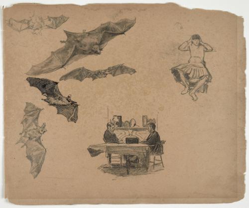 Leaves from Sketch Book