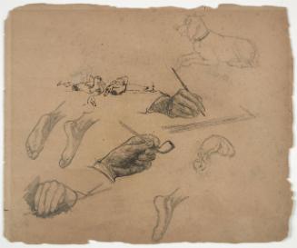 Leaves from Sketch Book