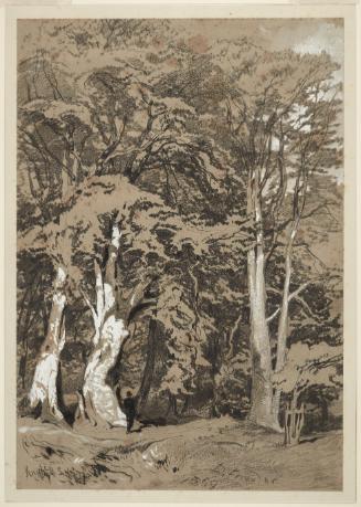 Strolling through the Park at Knole