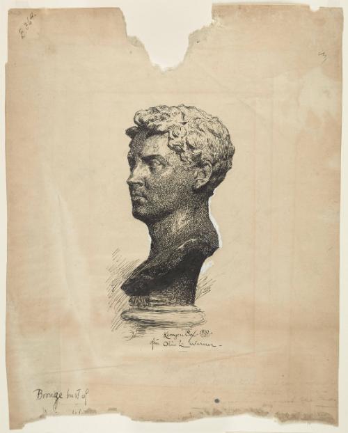 Head (after O. L. Warner)