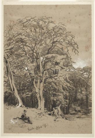 Seated Figure in the Park at Knole