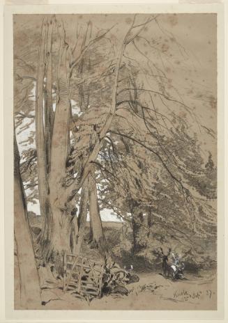 Deer Among the Trees, Knole