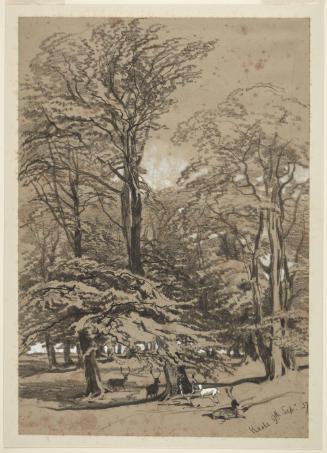 Deer in the Park at Knole