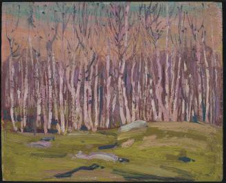 Silver Birches