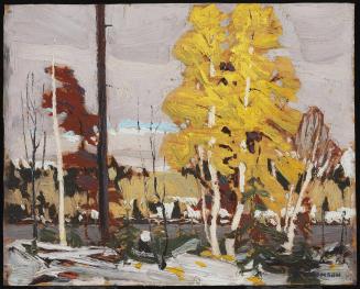 Near Grand Lake, Algonquin Park