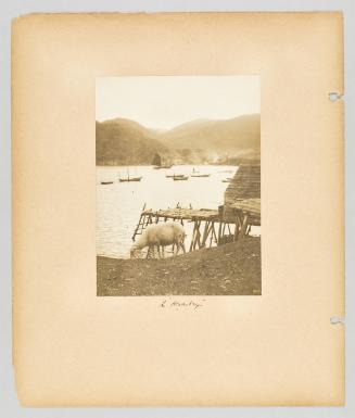 In "Hermitage" Page 25 of Newfoundland from Collection of Canadian albums compiled by Edith S. Watson
