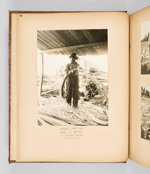 Stripping white oak strips for splints for basket making, Odanak, P.Q. Page 12 of The Abenaki; from collection of Canadian albums compiled by Edith S. Watson, 1890s-1930s