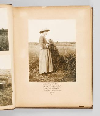 Harvesting sweetgrass for the basket indiustry among the Abenaki Indians, at Odanak, Que. Page 3 of The Abenaki; from collection of Canadian albums compiled by Edith S. Watson, 1890s-1930s