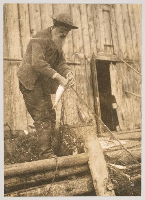 A good catch, Peggy's Cove, N.S. Photograph from Fish; from collection of Canadian albums compiled by Edith S. Watson, 1890s-1930s