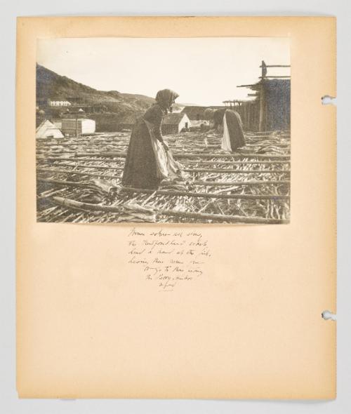 Women ashore all along the Newfoundland coast lend a hand at the fish, leaving their men free to go to their fishing. In Petty Harbor, Nfld. Page 42 of Fish; from collection of Canadian albums compiled by Edith S. Watson, 1890s-1930s