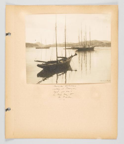 American schooners calling at Burgeo, Nfld. for bait on their way to the Banks. Page 41 of Fish; from collection of Canadian albums compiled by Edith S. Watson, 1890s-1930s