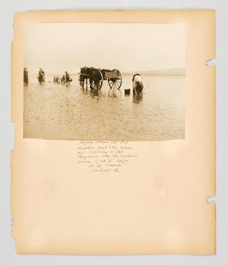 Digging clams for bait employs most of the women and children in the Magdalens, when the mackerel season is at its height. At "Le Bassin", Amherst Is. Page 36 of Fish; from collection of Canadian albums compiled by Edith S. Watson, 1890s-1930s