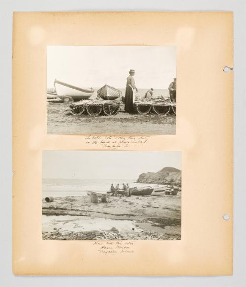 [Lobster life in the Magdalens] Page 30 of Fish; from collection of Canadian albums compiled by Edith S. Watson, 1890s-1930s