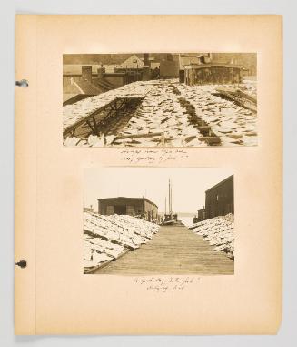 [Plentiful fish in Halifax] Page 13 of Fish; from collection of Canadian albums compiled by Edith S. Watson, 1890s-1930s