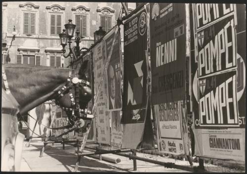A horse in blinkers faces election posters 