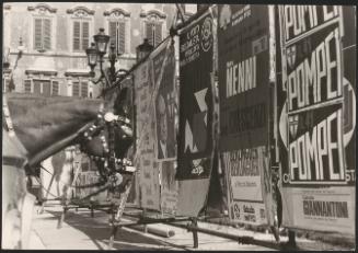 A horse in blinkers faces election posters 