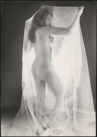 A nude glamour model poses underneath a sheet of chiffon, bathed in light from a lamp behind her