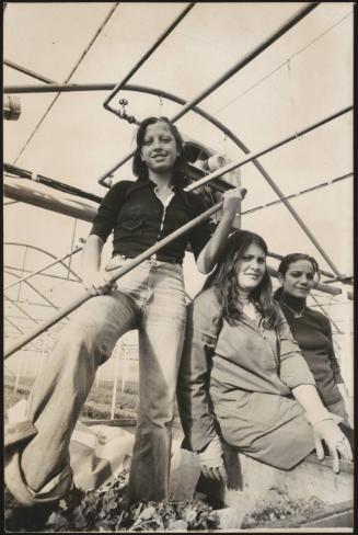 Women working on the land, posing with a rake, gloves and plants in a large greenhouse