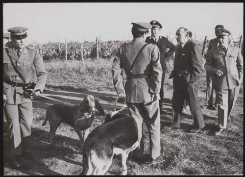 Group of policemen, sniffer dogs and police commissioner during the hunt for plane-jacker Raphael Minichielli