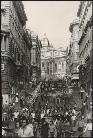 Pro Chile demonstration