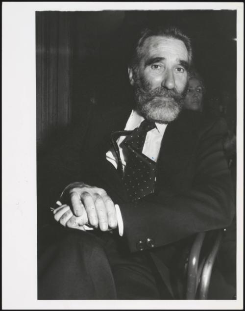 The author Mario Rigoni Stern