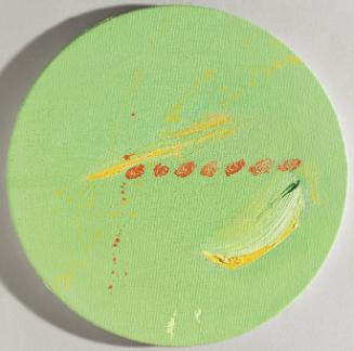 Timucua (Lost Tribes)