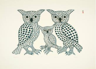 Winter Owls