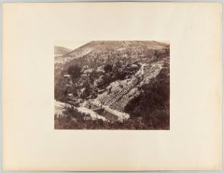 View of a hillside with steps leading down to a small wooden bridge. Unidentified location in the Midi de la France